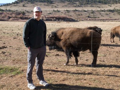 Bison79.jpg