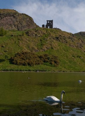 Queen's swan pond