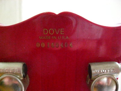 1976 Gibson Dove - headstock rear with serial number