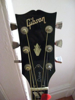 1976 Gibson Dove - headstock front