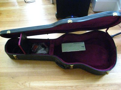 1976 Gibson Dove - case with paperwork