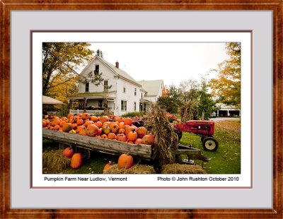 Pumpkin Farm Nr Ludlow Vermont web framed 7911.jpg