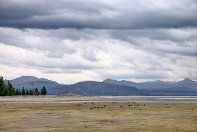 Yellowstone National Park