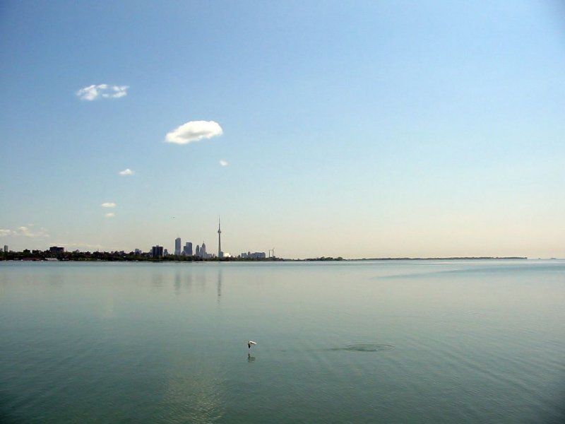 wide_03_tom_gabriel.jpg