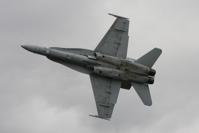 20081031-_MG_9215.jpg