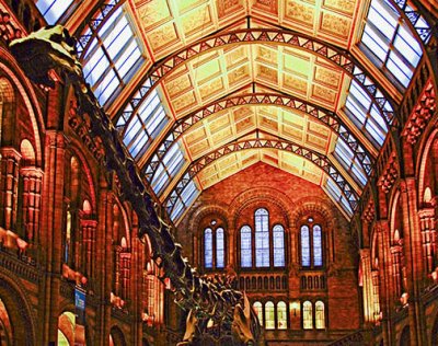 Natural History Museum - main hall