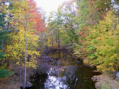 IMG_4110.jpg