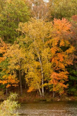 IMG_5325.jpg