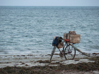 Fisherman's bicycle