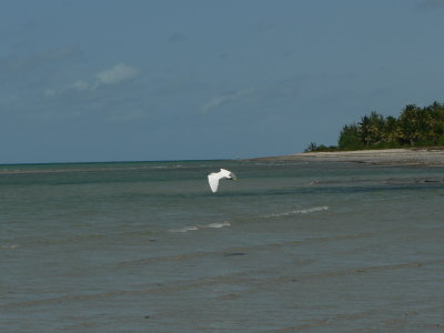 g1/83/361583/3/126818097.gg7IqtlV.jpg