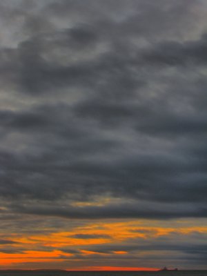 IMG_2096new.jpg