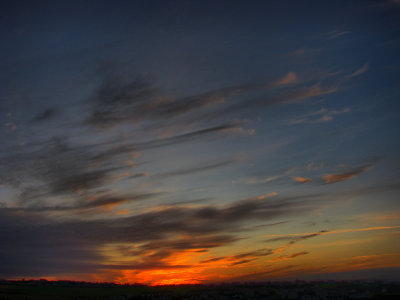 IMG_2202new.jpg