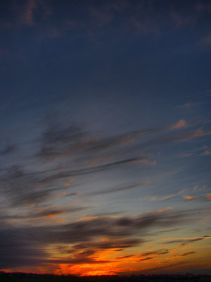 IMG_2205new.jpg