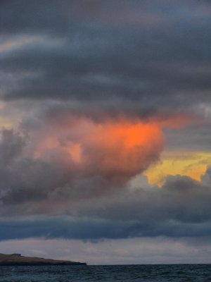 IMG_2539new.jpg
