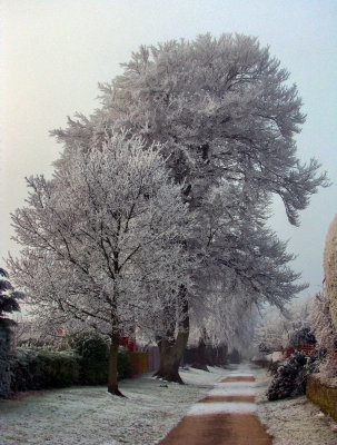 Frozen Nairn