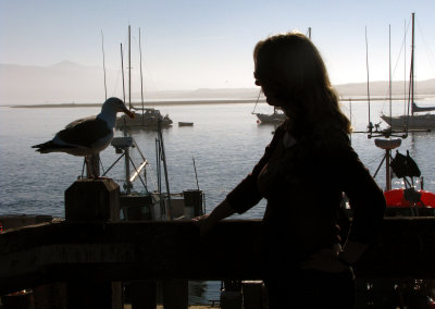 Morro Bay on a sunny day