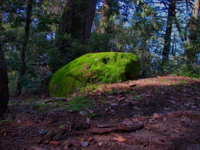 Skyline Boulevard, 22nd March 2009