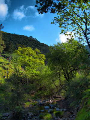 Alum Rock Park, April 2008