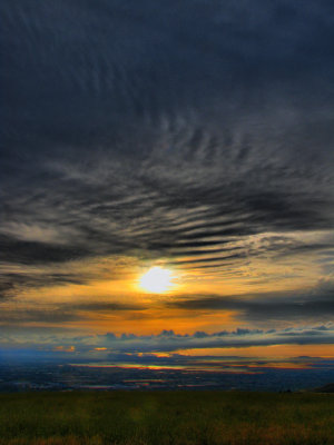 IMG_4930new.jpg
