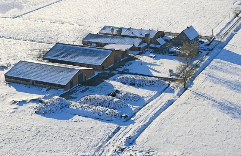 2009-01-06_248.jpg