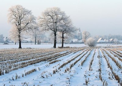 liereman-2009-01-09_004.jpg