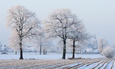 liereman-2009-01-09_005.jpg