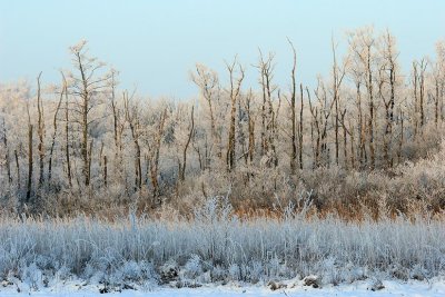 liereman-2009-01-09_017.jpg