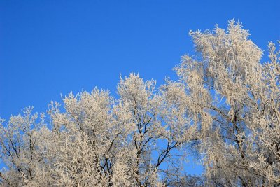 liereman-2009-01-09_058.jpg