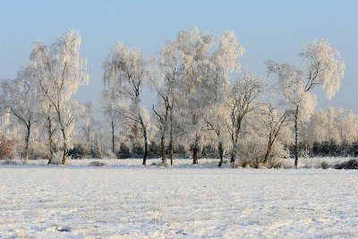 liereman-2009-01-09_083.jpg