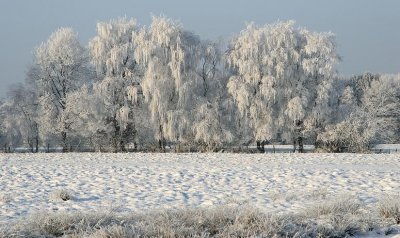 liereman-2009-01-09_102.jpg