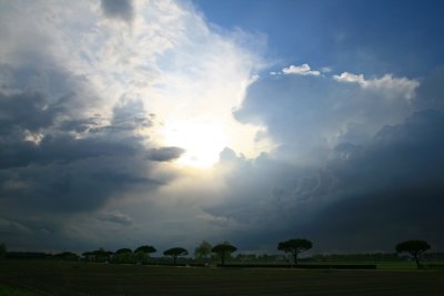 Ray of Light