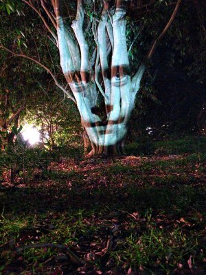 The haunted tree