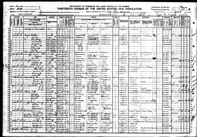 Walter Boyt 1910 Census Polk IA