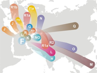 Haplogroup F Y-DNA Map