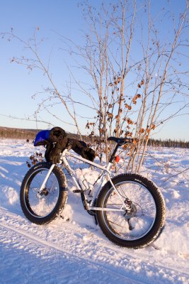_MG_0347.jpg