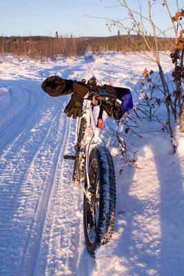 _MG_0350.jpg