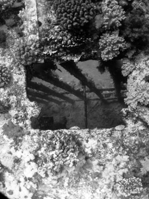 DSCF0108_BW.jpg