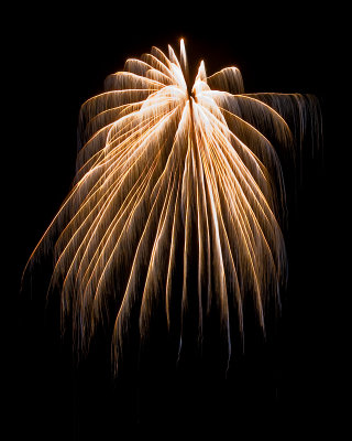 Backyard Fireworks 2009