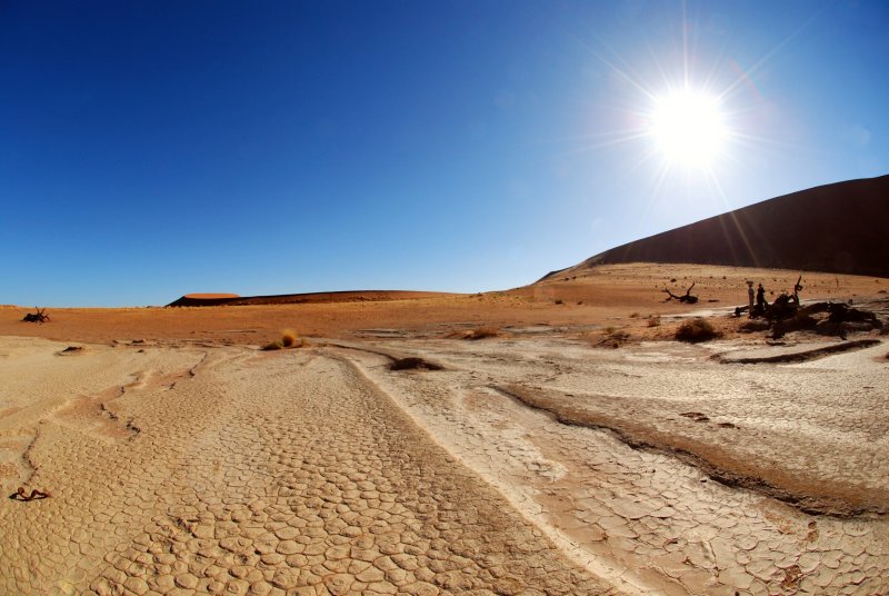 The Namib