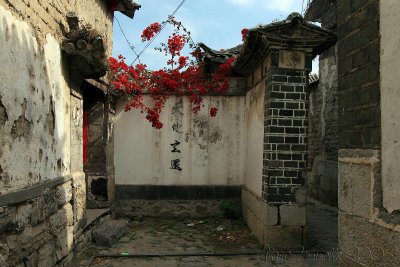 Bougainville