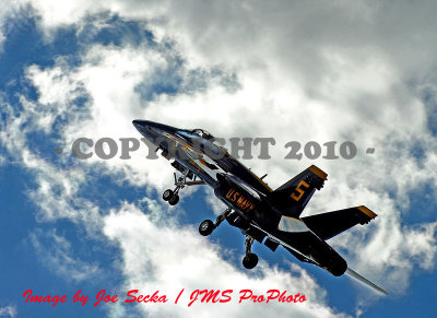 CAS-JS-0275-09-05-10.jpg