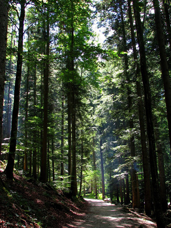 Le chemin vers la grotte