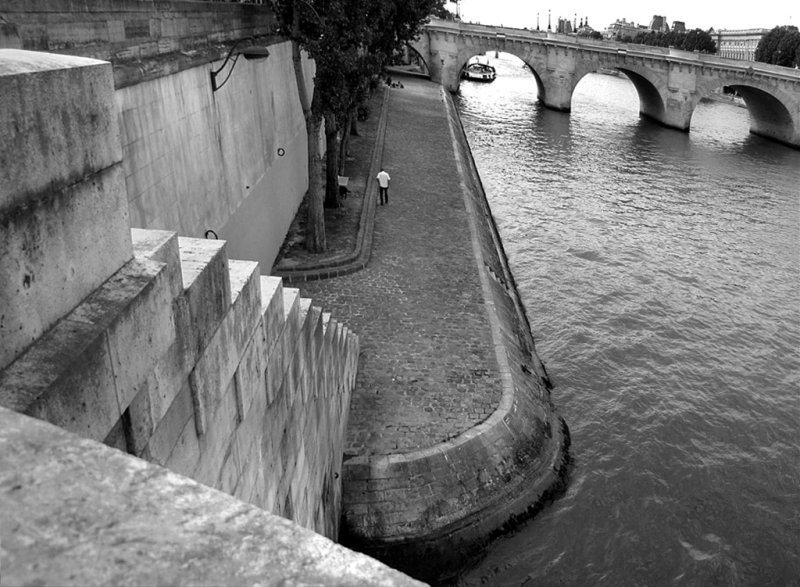 Paris, le quai ,le pont neuf