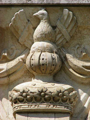 g1/83/550183/3/105389980.bpsp7n8V.jpg