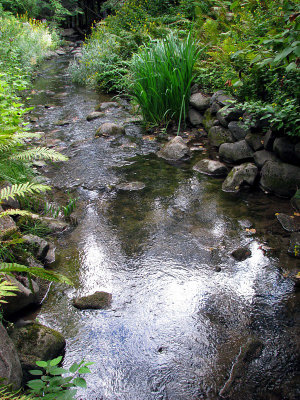 Une ambiance pour le ruisseau