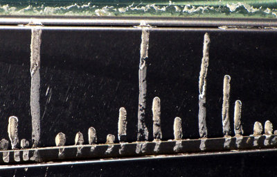 g1/83/550183/3/108875252.LzHLqGog.jpg