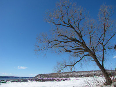 g1/83/550183/3/110674031.XLnuhMww.jpg