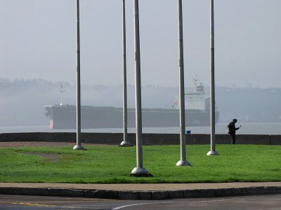 g1/83/550183/3/114039509.wnR1ofwi.jpg