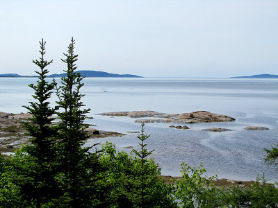 g1/83/550183/3/126143263.uatLer5f.jpg
