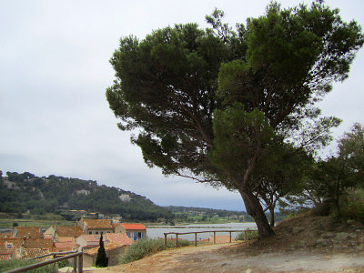 g1/83/550183/3/128083518.62oeeDdE.jpg